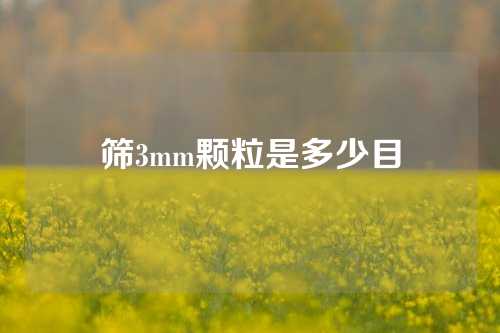 筛3mm颗粒是多少目