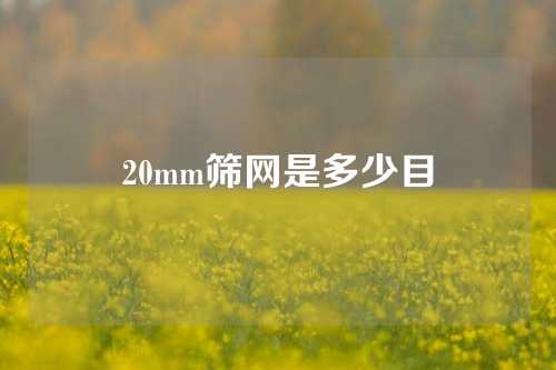 20mm筛网是多少目