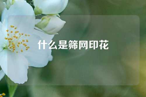 什么是筛网印花