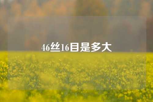 46丝16目是多大