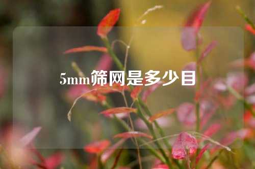 5mm筛网是多少目