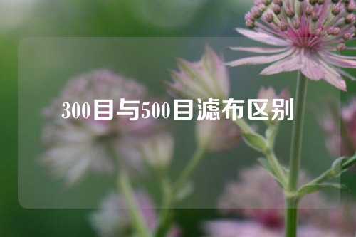 300目与500目滤布区别