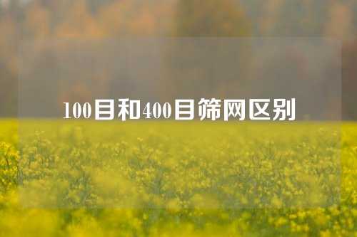 100目和400目筛网区别