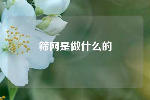 筛网是做什么的