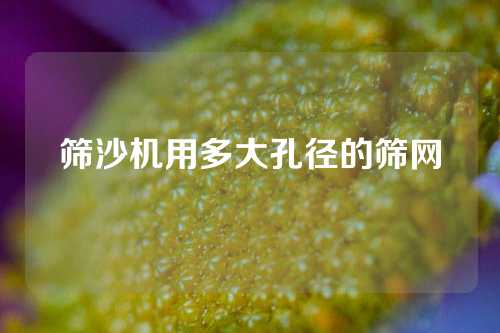 筛沙机用多大孔径的筛网