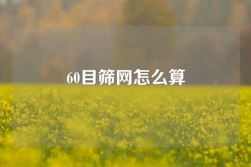 60目筛网怎么算