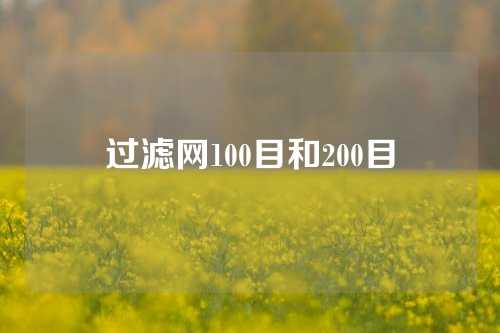 过滤网100目和200目