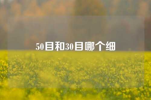 50目和30目哪个细