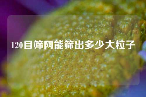 120目筛网能筛出多少大粒子