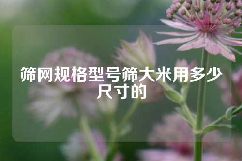 筛网规格型号筛大米用多少尺寸的