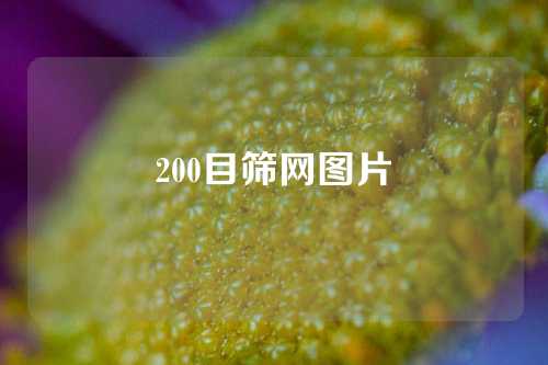 200目筛网图片