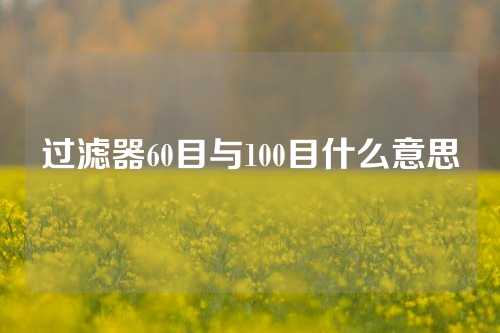 过滤器60目与100目什么意思