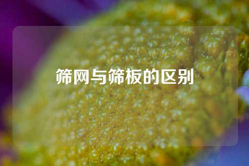 筛网与筛板的区别