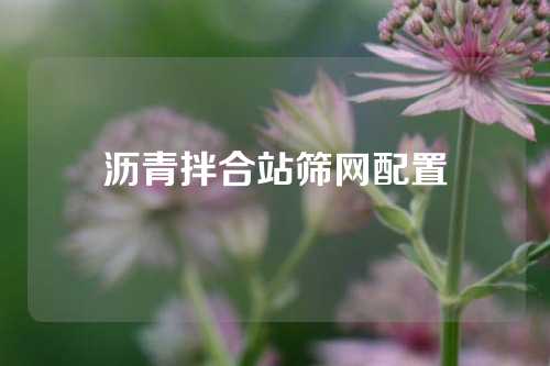 沥青拌合站筛网配置