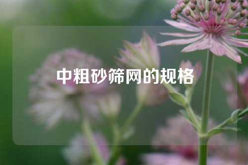 中粗砂筛网的规格