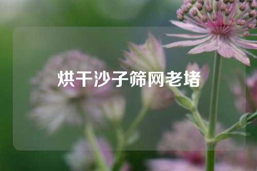 烘干沙子筛网老堵