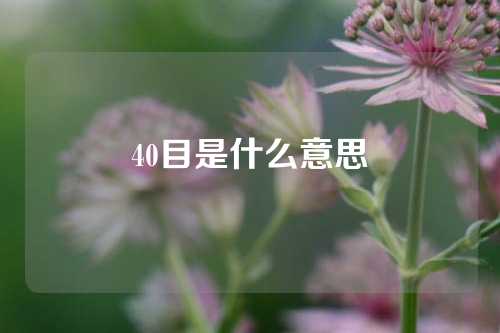 40目是什么意思