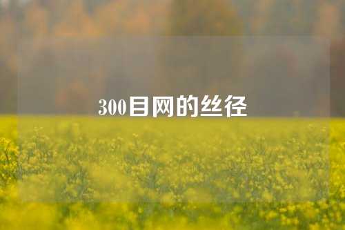 300目网的丝径