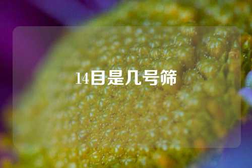 14目是几号筛