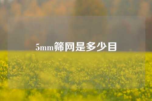 5mm筛网是多少目