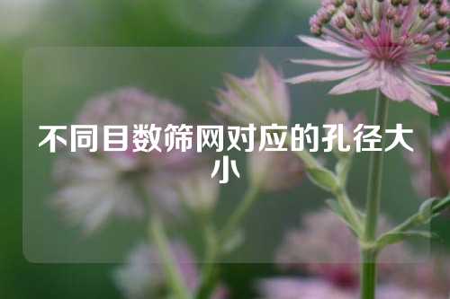 不同目数筛网对应的孔径大小