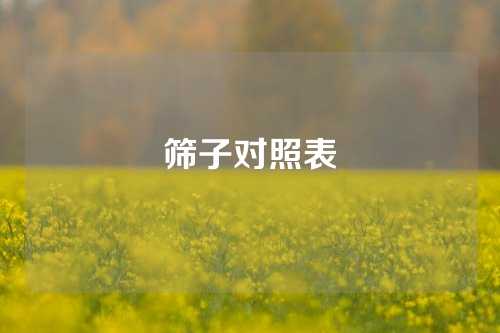 筛子对照表