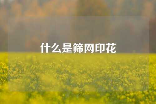 什么是筛网印花