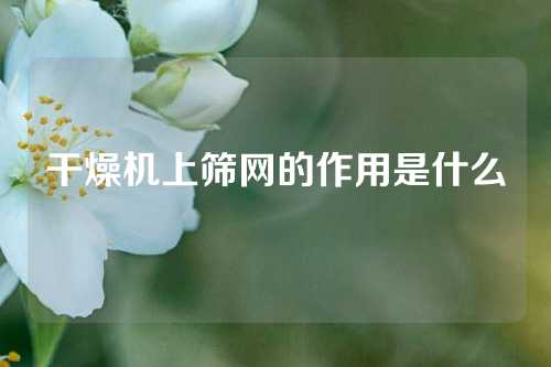 干燥机上筛网的作用是什么