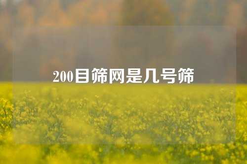 200目筛网是几号筛