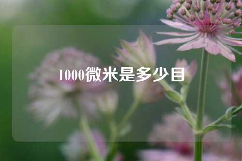 1000微米是多少目