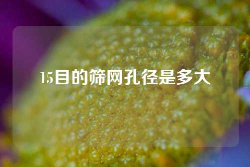 15目的筛网孔径是多大