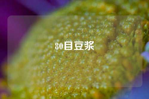 80目豆浆