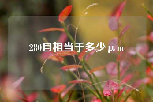 280目相当于多少μm