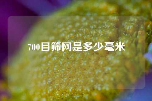 700目筛网是多少毫米