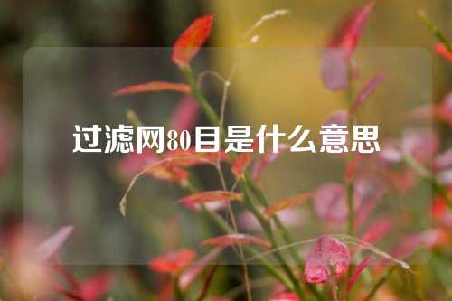 过滤网80目是什么意思