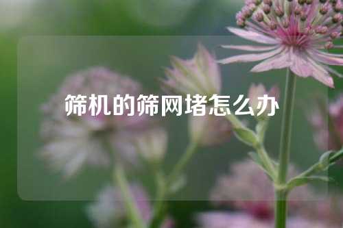 筛机的筛网堵怎么办