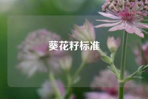 葵花籽标准