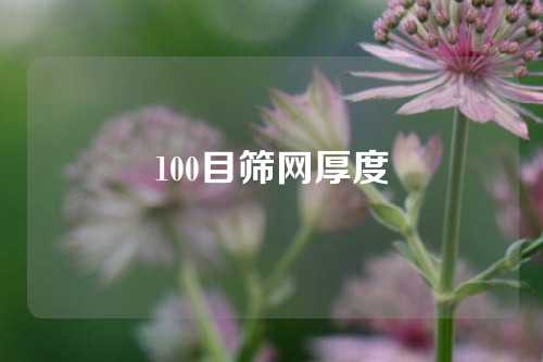 100目筛网厚度