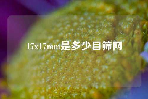 17x17mm是多少目筛网