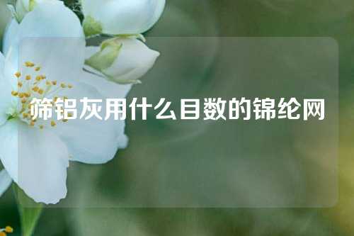 筛铝灰用什么目数的锦纶网