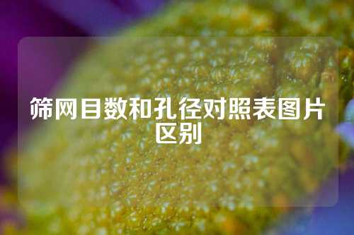 筛网目数和孔径对照表图片区别