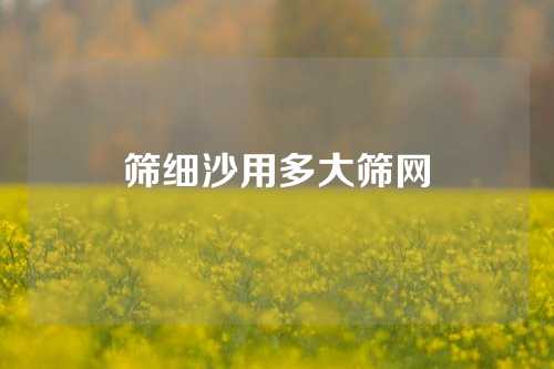 筛细沙用多大筛网