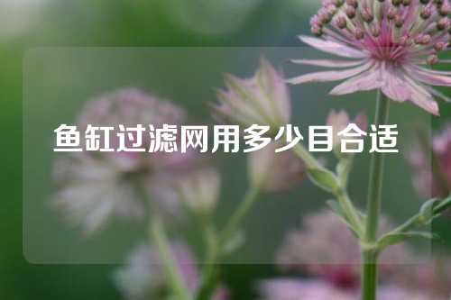 鱼缸过滤网用多少目合适