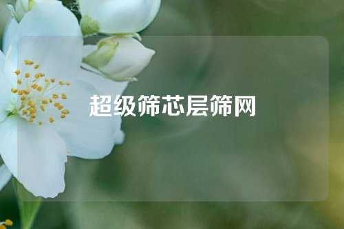 超级筛芯层筛网