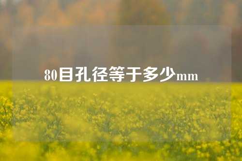 80目孔径等于多少mm