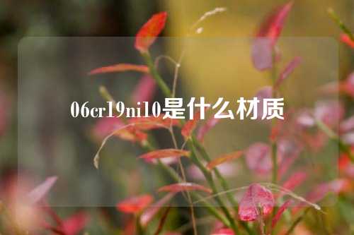 06cr19ni10是什么材质