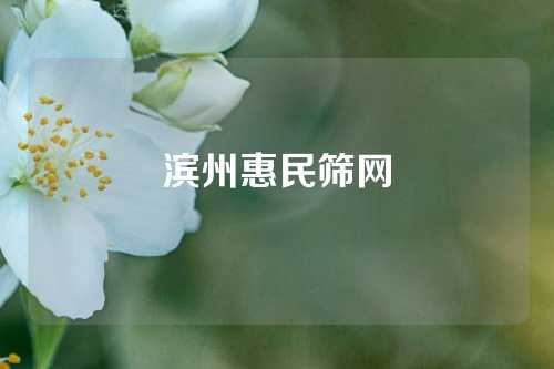 滨州惠民筛网