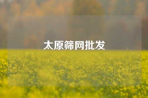 太原筛网批发