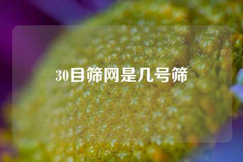 30目筛网是几号筛