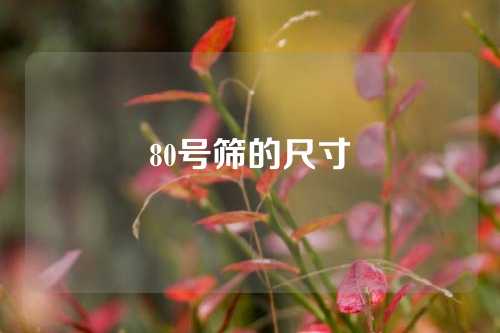 80号筛的尺寸